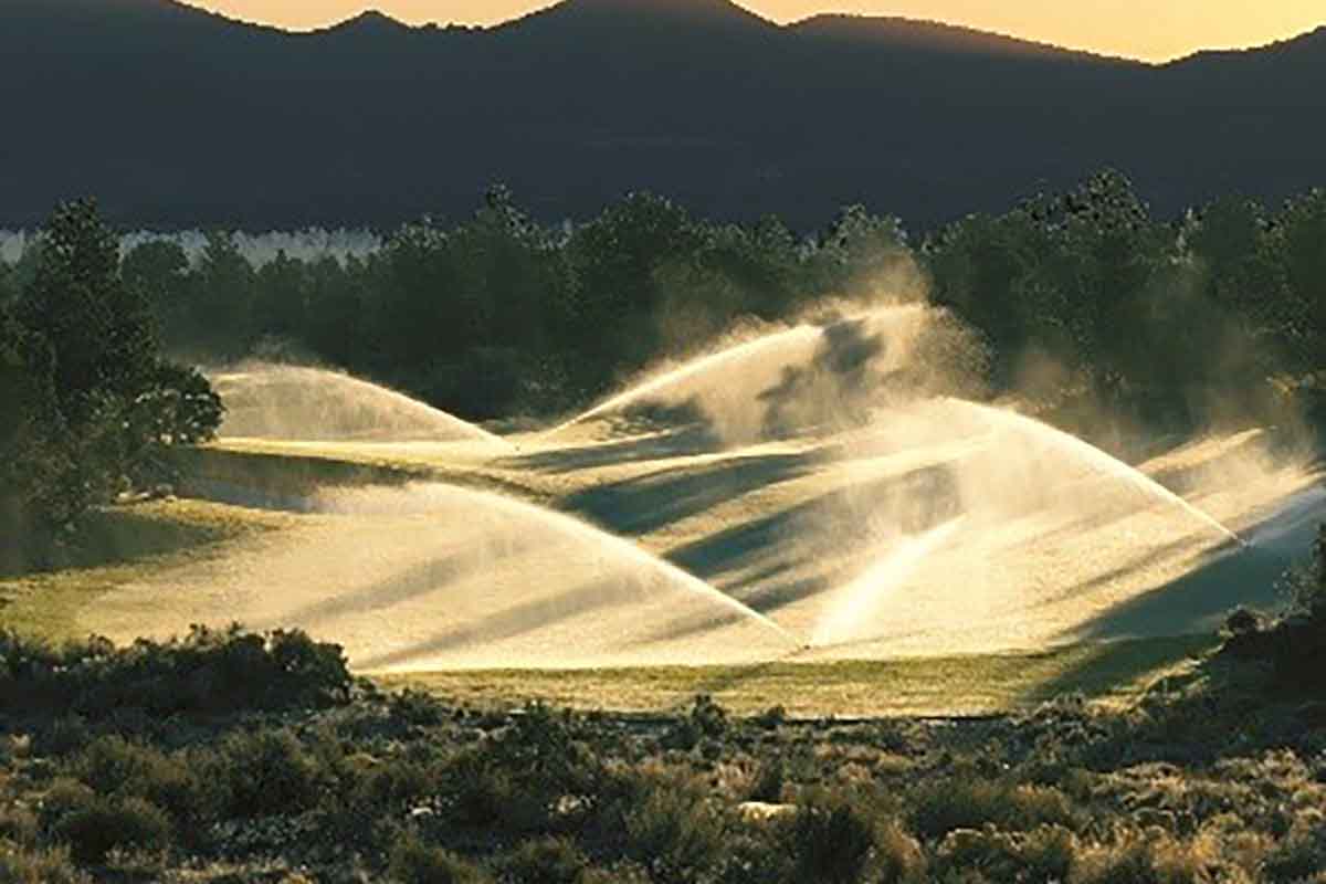 markets lawn & garden