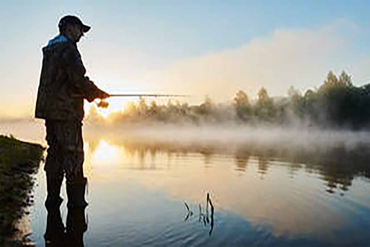 markets sporting goods